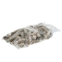 daiktų Strobus kūgiai 15cm - 20cm balti skalbti 50vnt