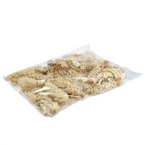 daiktų Strobus balintas 15cm-20cm 50 vnt