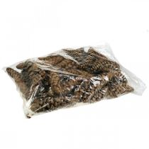 daiktų Kankorėžiai Baltoji pušis Strobus Natural Mixed 2,5kg