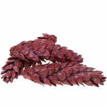 daiktų Strobus kūgiai natūrali apdaila raudona 15cm - 20cm 50 vnt