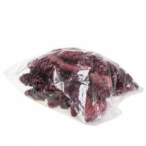 daiktų Strobuso kūgių dekoracijos raudonai baltai nuskalbtos 15-20cm 50 vnt.