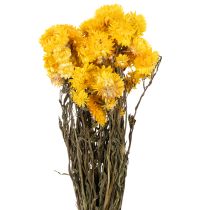 daiktų Džiovintų geltonųjų šlamučių (Helichrysum) žiedų puokštė, 100 g