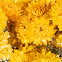 daiktų Džiovintų geltonųjų šlamučių (Helichrysum) žiedų puokštė, 100 g