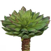 daiktų Sultingas Echeveria dirbtinis žalias augalas žalias Ø6cm 10,5cm