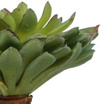 daiktų Sultingas Echeveria dirbtinis žalias augalas žalias Ø6cm 10,5cm