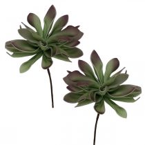 Sultingas žalias, bordo 10cm 12vnt