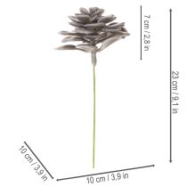 daiktų Dirbtinės sukulentų vaško gėlės dekoracijos 10 cm 6 vnt.