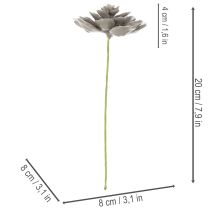 daiktų Dirbtinis sukulentas, vaškas, dirbtinis augalas su viela, 8 cm, 8 vnt.