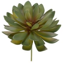 daiktų Dirbtinis sukulentas kaip dekoratyvinis augalas, žalias, 18 cm, 3 vnt.