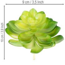 daiktų Dirbtinis sukulentas, žalias, dekoravimui dubenyje arba vazoje, 10 cm, 4 vnt.