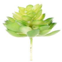 daiktų Dirbtinis sukulentas, žalias, dekoravimui dubenyje arba vazoje, 10 cm, 4 vnt.
