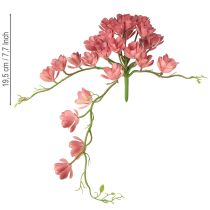 daiktų Dirbtinis sukulentas 28 rozetės Aeonium senovinė rožinė 43 cm