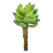 daiktų Sultingas Echeveria dirbtinis žalias augalas žalias Ø5,5 cm 12,5 cm