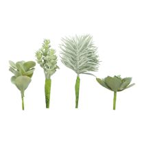 daiktų Sukulentai Dirbtinis žalias augalas žalias Asorti 9-18,5cm 4vnt