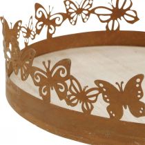 Padėklas su drugeliais, spyruoklė, stalo dekoracijos, metalo dekoracija patina Ø20cm H6,5cm