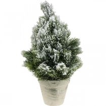 Mini eglutė dirbtinai apsnigtame vazonėlyje Ø18cm H32cm