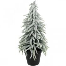 Žieminė eglė vazone, kalėdinė puošmena, eglė su sniegu H45cm