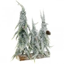 Eglės su sniegu, Advento puošmena, žiemos miškas L16.5cm H28cm
