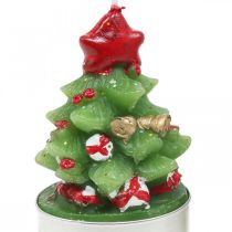 Arbatos žvakutės Kalėdinės arbatžolės eglė H6,5cm 6vnt
