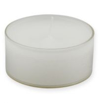 Arbatos lemputės maxi su transp. Viršelis baltas 54mm 16vnt