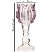 daiktų Arbatinės stiklinės tulpės arbatinės žvakidės laikiklis stiklas violetinis Ø7cm H16cm 2vnt