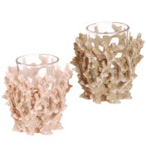 daiktų Žvakės laikiklis koralų dekoravimas maritime cream rudas H9cm 2vnt