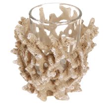 daiktų Žvakės laikiklis koralų dekoravimas maritime cream rudas H9cm 2vnt