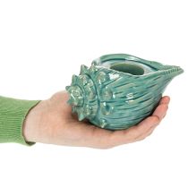 daiktų Arbatinės žvakutės laikiklis, kriauklės formos, dekoratyvinė stalo žvakė, vonios kambarys, svetainė, 16 cm