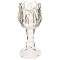 daiktų Arbatinės žvakidės laikiklis tulpinė arbatinė stiklinė su pagrindu skaidriu Ø7cm H16cm 2vnt