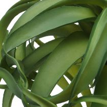 Tillandsia Dirbtinis žalias augalas klijuoti Large Green Ø40cm