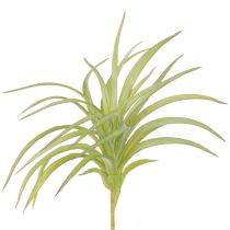 daiktų Tillandsia Green dirbtiniai augalai su lazdele Ø17cm 3 vnt