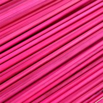 daiktų Tonkin Pink 70cm - 80cm 150 vnt