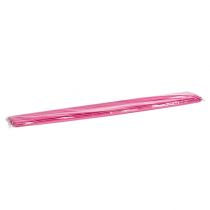 daiktų Tonkin Pink 70cm - 80cm 150 vnt