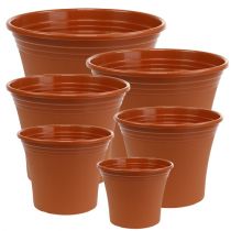 daiktų Puodas &quot;Irys&quot; plastikinis terakotinis Ø15cm - 43cm 1 vnt