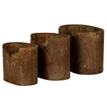 daiktų Metaliniai ovalūs, kaimiško stiliaus vazonai elniams, 3 vnt., 24 cm
