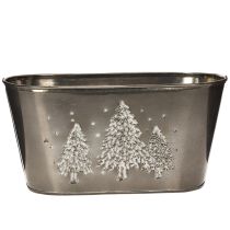 daiktų Ovalus vazonas su reljefiniu eglės raštu, 25 cm