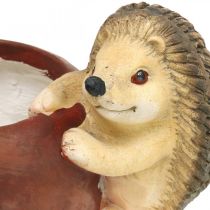 daiktų Sodinamoji, obuolys su ežiuku, rudens puošmena, vazonėlis, keraminis Ø16cm A22cm P33cm