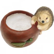 daiktų Sodinamoji, obuolys su ežiuku, rudens puošmena, vazonėlis, keraminis Ø16cm A22cm P33cm