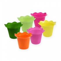 daiktų Plastikinė vazoninė gėlė Ø10,5cm 25 vnt