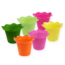 daiktų Plastikinė vazoninė gėlė Ø6,5cm 25 vnt