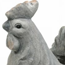 Vištiena sodinimui, Velykinė puošmena, vazonas augalams, spyruoklė, dekoratyvinė vištienos betoninė išvaizda H30cm