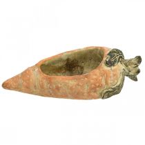 daiktų Dekoratyvinė morka, betono puošmena sodinimui, Velykų, morkų augalo vazonas, pavasario puošmena L28cm