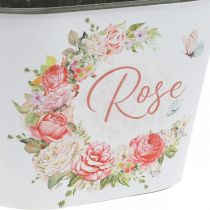 daiktų Sodinamoji, dekoratyvinės vazoninės rožės, gėlių dubuo L19cm A12,5cm