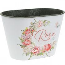 daiktų Sodinamoji, dekoratyvinės vazoninės rožės, gėlių dubuo L19cm A12,5cm