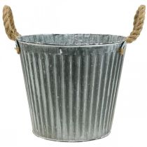 daiktų Sodinamoji, dekoratyvinis vazonas su rankenomis, metalinis vazonas sodinimui Ø25,5cm