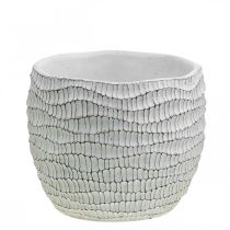 daiktų Betoninis baltas vintage korinis dekoratyvinis gėlių vazonas H15cm Ø15cm