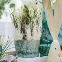 daiktų Vynuogių hiacintai kekėje balti 30cm 15 vnt
