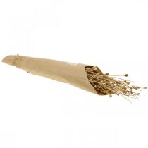 daiktų Džiovintų gėlių aguonų kapsulės gamtoje džiovintų laukinių džiovintų dekoracijų kekė 100g