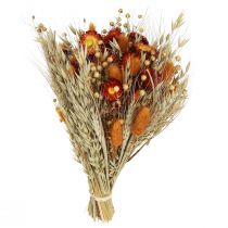 daiktų Džiovintų gėlių lauko gėlių puokštė šiaudų gėlių oranžinė L30cm