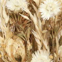 daiktų Džiovintos gėlės baltas auksas su kepurėlėmis Phalaris 30cm 200g